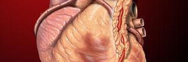 How to determine your target heart rate