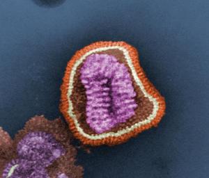 How to treat a cold virus