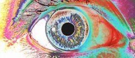 Human brain: Epilepsy and hallucinations