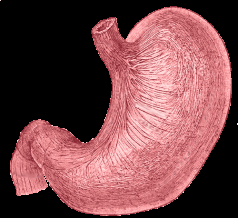 Inflammation of the stomach