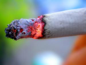 Ingredients in cigarettes