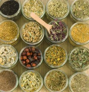Introduction to herbalism