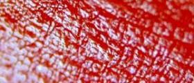 Itchy skin at night