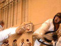 Karate belt levels