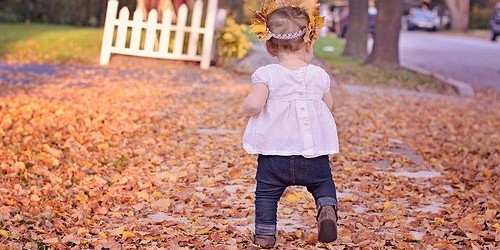 Why You Should Not Adopt