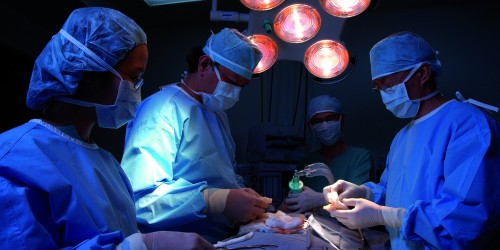 Kidney Transplantation as an Option for Kidney Failure