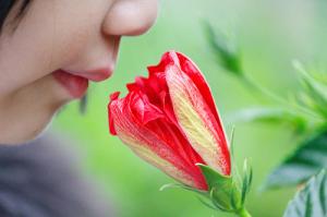 Lose sense of smell and taste