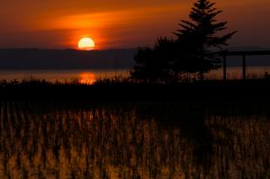 Low vitamin D side effects