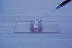 Male infertility treatment