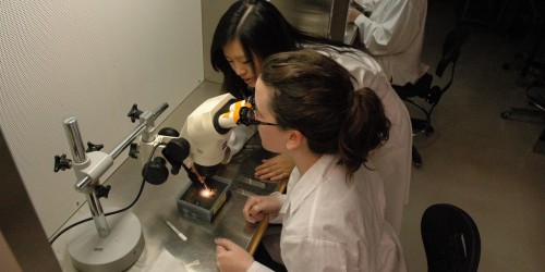 Breakthrough Replicates Human Brain Cells For Alzheimer's Research