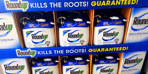 The Round-Up On Monsantno's RoundUp