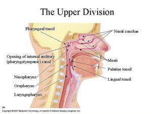 Nasal irrigation solution
