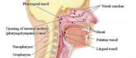 Nasal irrigation solution