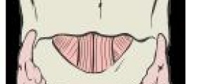 Natural therapy for underactive thyroid