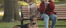 Dogs For Treating Dementia