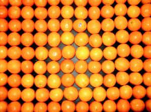 Orange nutritional value