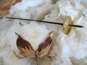 Organic cotton benefits