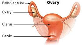 Ovarian cysts surgery - What are the risks?