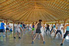 Physical fitness and aerobic endurance