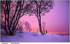 Physical fitness in winter