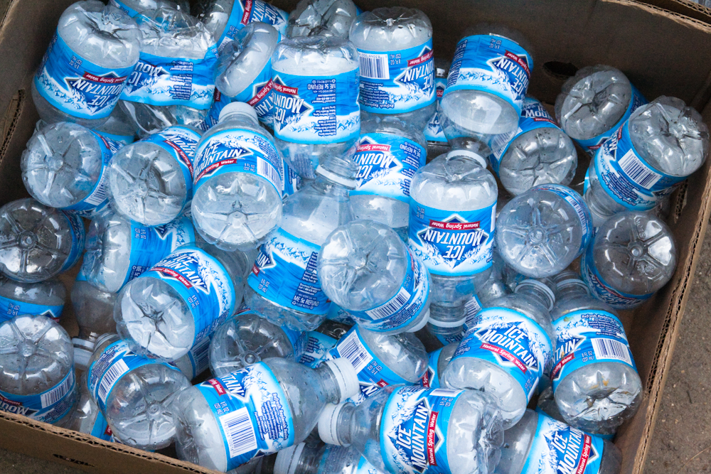 BPA Pollutant Found Around the World Causes Damage in the Womb