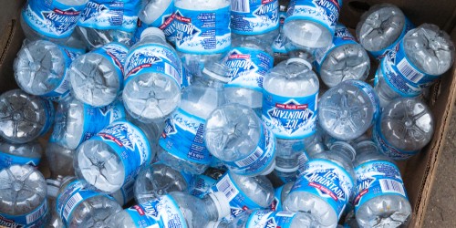 BPA: Pollutant Found Around the World Causes Damage in the Womb
