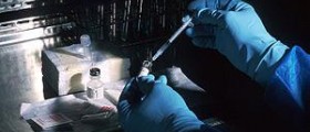 Prevention of fungal meningitis