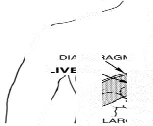 Prevention of hepatitis