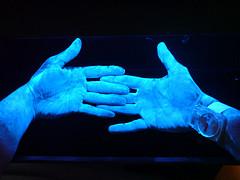 Prevention of mrsa infections