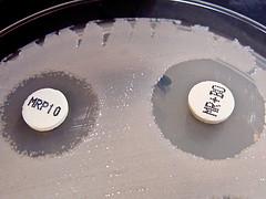 Prevention of superbugs