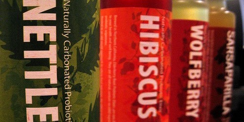 Do Probiotics During Pregnancy Really Lower Allergy And Asthma Risk In Newborns?