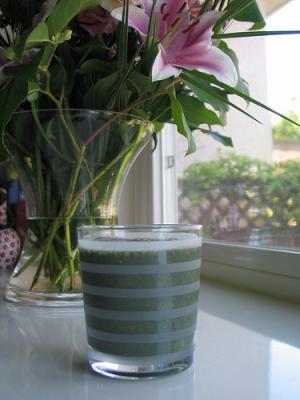 Protein shakes side effects | General center | SteadyHealth.com