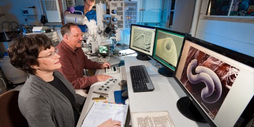 Treating Gut Bacteria May Treat Diabetes