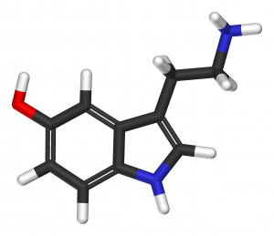 Review of selective serotonin reuptake inhibitors