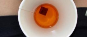 Rooibos tea benefits