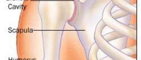Rotator cuff stretches