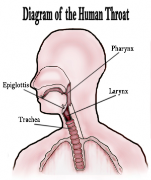 Scratchy throat remedies
