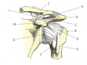 Shoulder impingement surgery