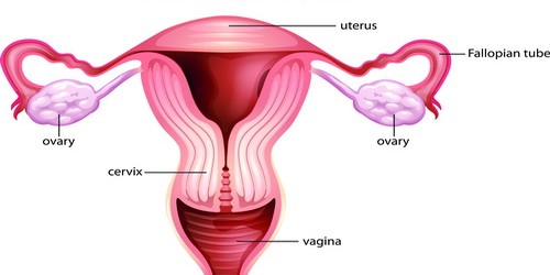 Tubal ligation side effects