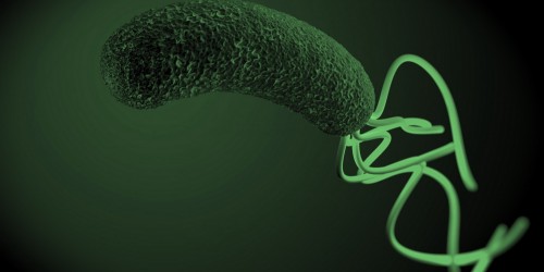 Helicobacter Pylori, From Its Discovery To Its Role In Cancer