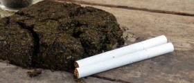 Marijuana: Pros And Cons