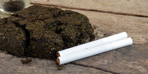 Marijuana: Pros And Cons