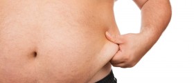 Best meal plan for overweight persons?