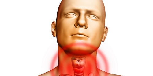 Thyroid Hormones, Iodine Deficiency and Hypothyroidism