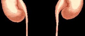 Sickness - Kidney failure