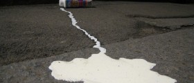 Why Some People Don't Do Dairy