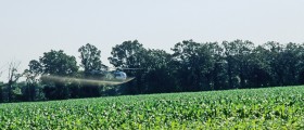 Pesticides- how dangerous is our nutrition?
