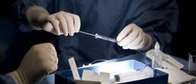 Could A New Stem Cell Therapy Regenerate Damaged Hearts?