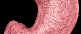 Stomach pain in right side