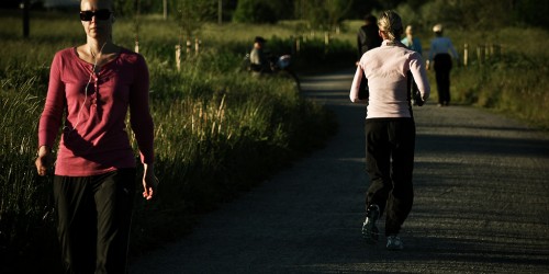 Boost Your Immune System after a Good Workout